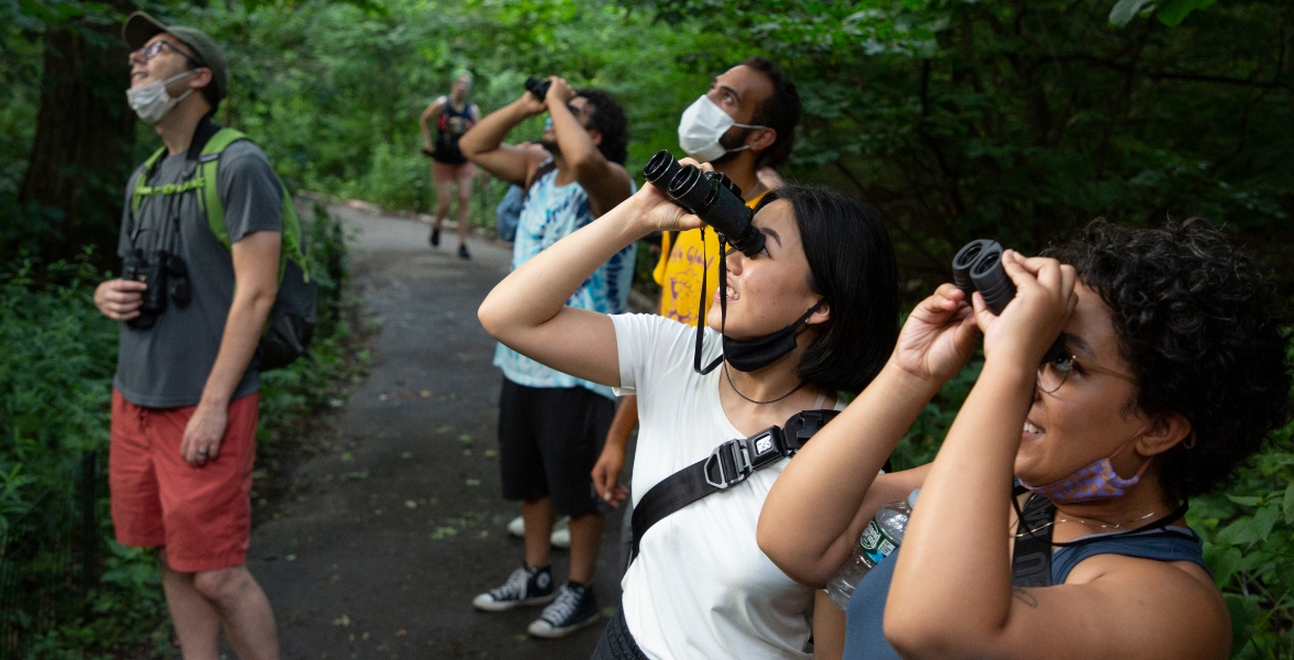 Let's Go Birding Together walk in Central Park.