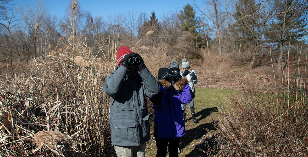 Great Backyard Bird Count survey at Grass Island Park in Greenwich, CT.