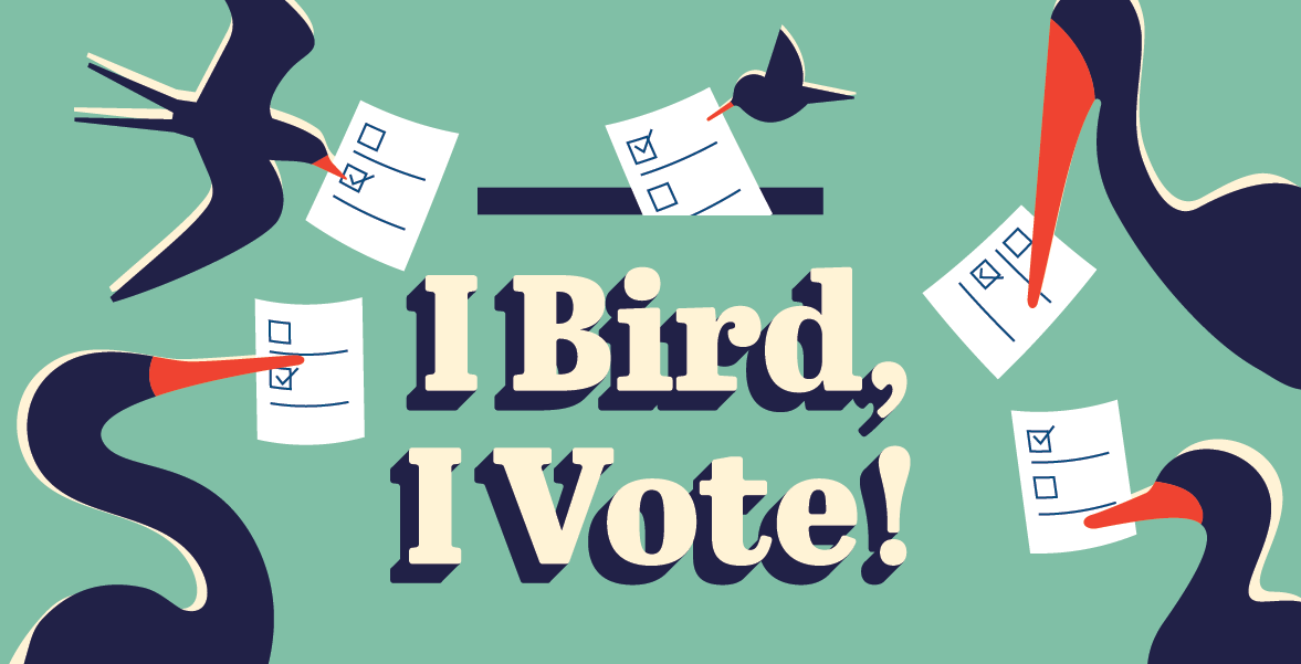 I Bird, I Vote graphic with cartoon birds dropping off their ballots