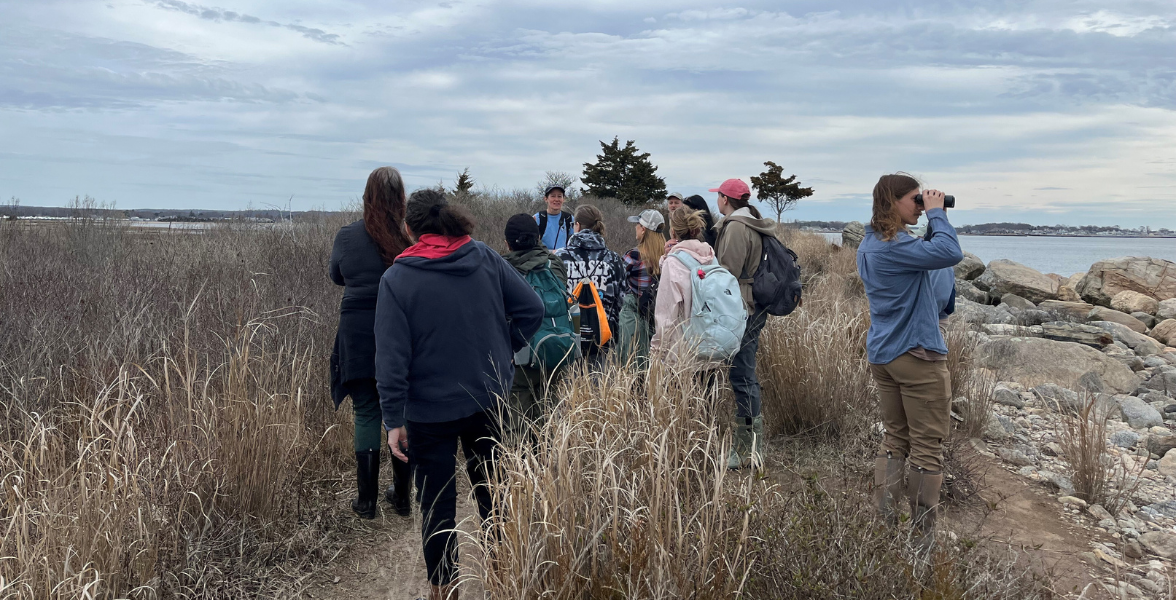 A group of people on a tour through the salt marsh, surrounded by tall grasses.