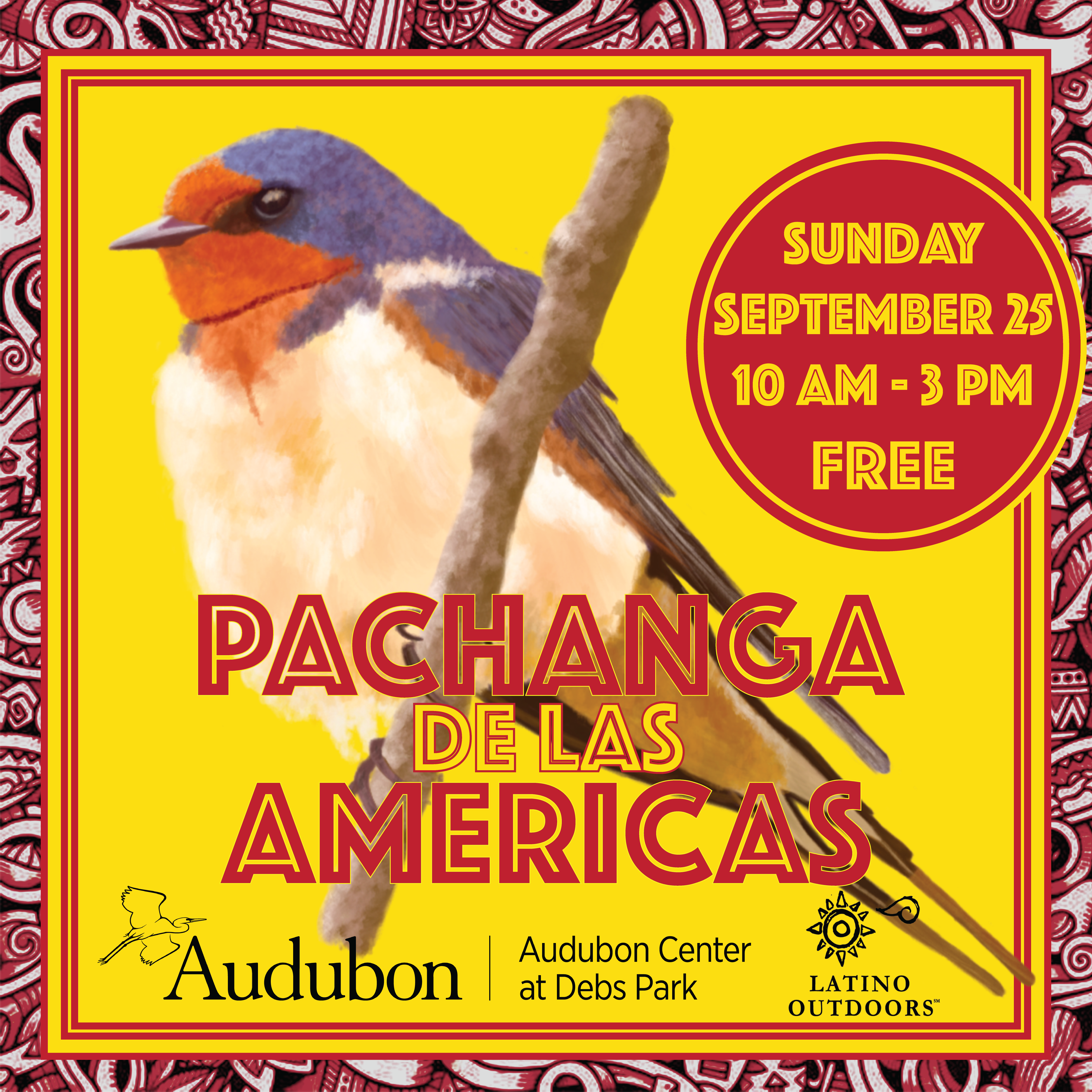 Pachanga de las Americas flyer 