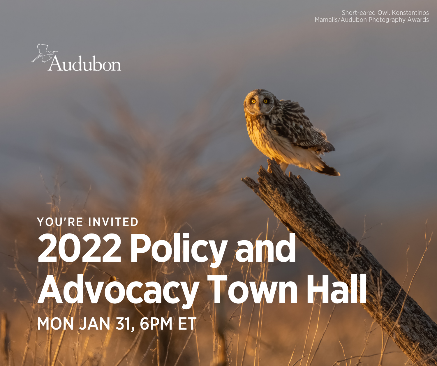 Audubon Policy Town Hall 