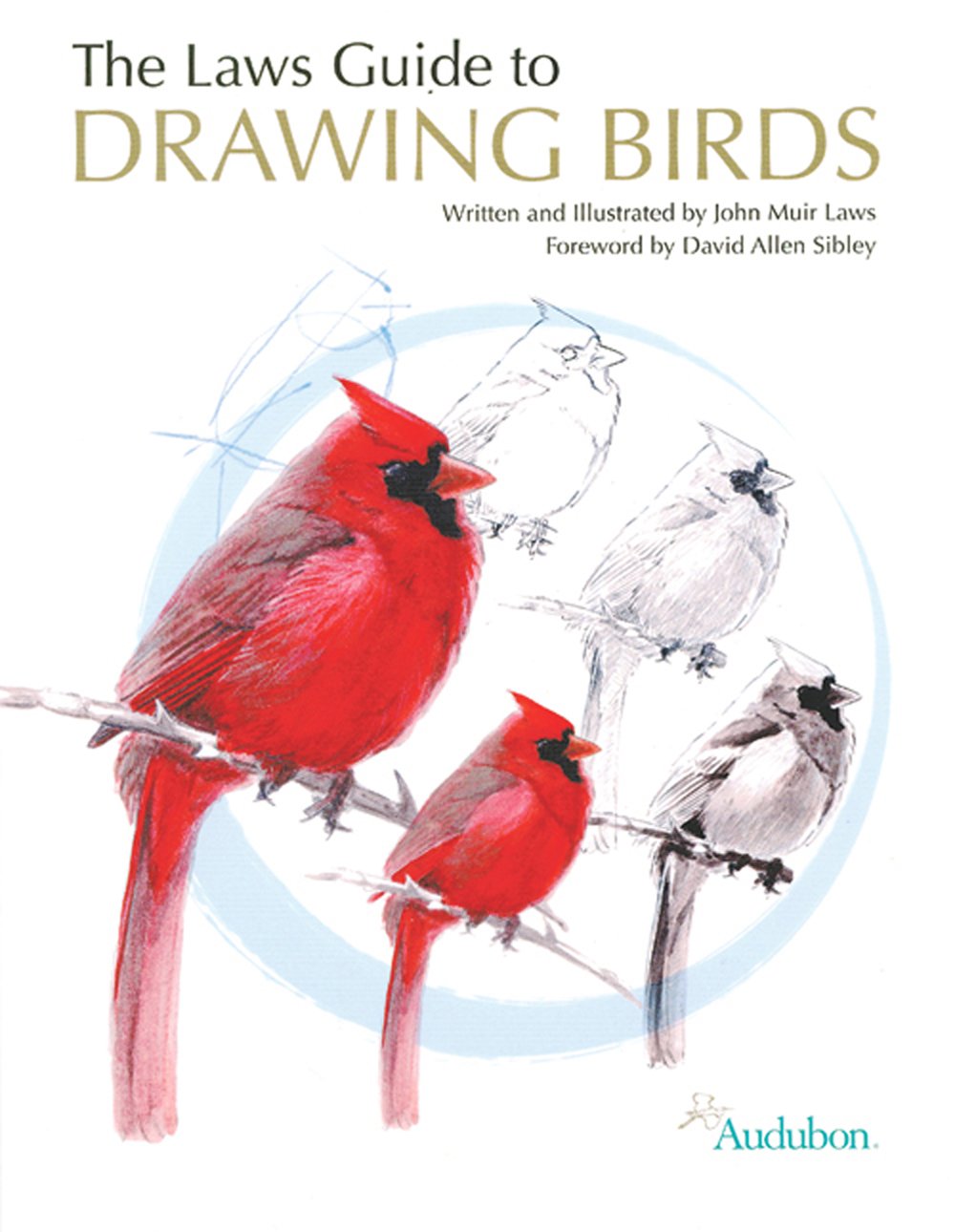 The Laws Guide to Drawing Birds