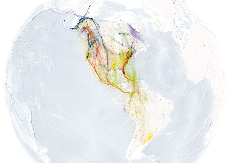 The Bird Migration Explorer map.