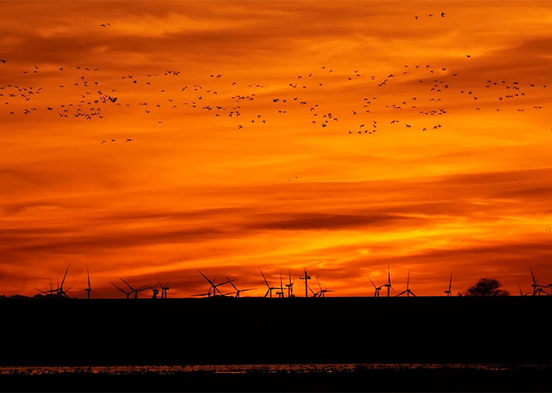 Wind projects are one way to fulfill Audubon's goal of generating an additional 100 gigawatts of renewable energy by 2028.