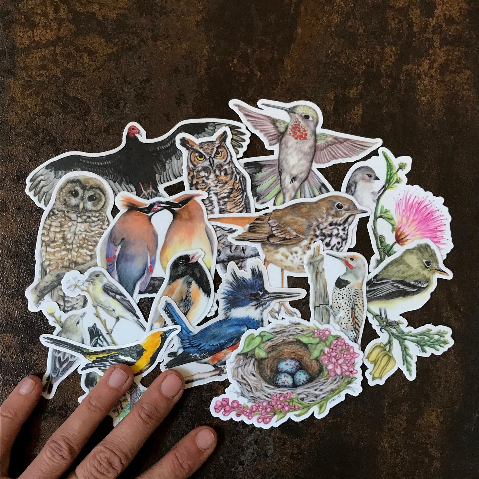 Bird Stickers. Photo: 