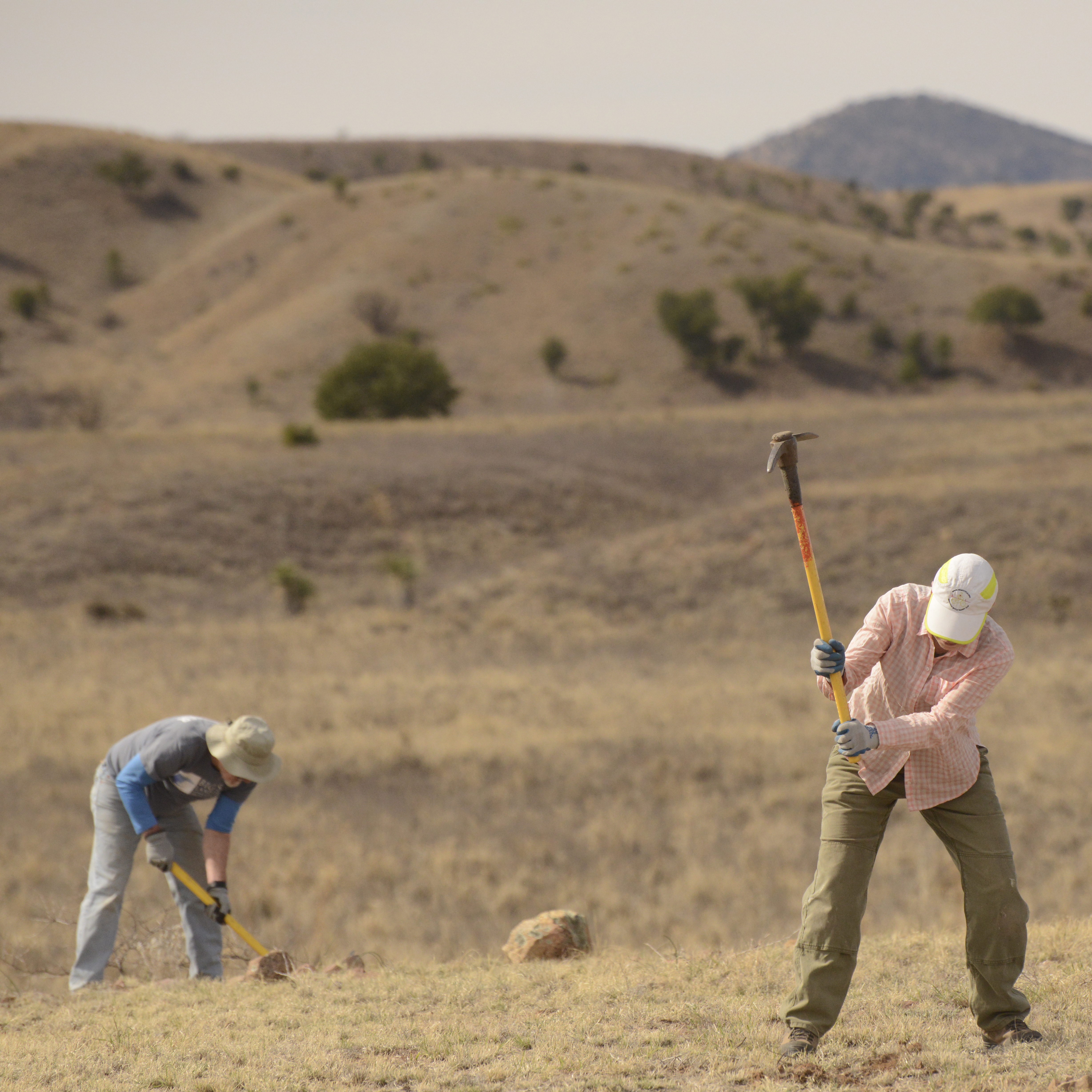 Sierra Club Volunteers at Appleton-Whittell Research Ranch of the National Audubon Society
