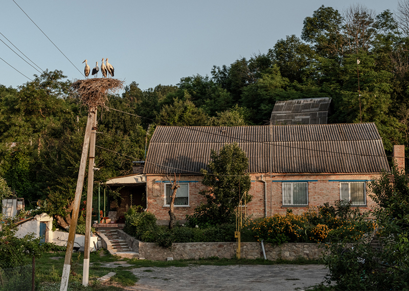 White Storks are a symbol of peace in Ukraine, but their nests are vulnerable to destruction from warfare. Conservationists are planning new surveys of the population.