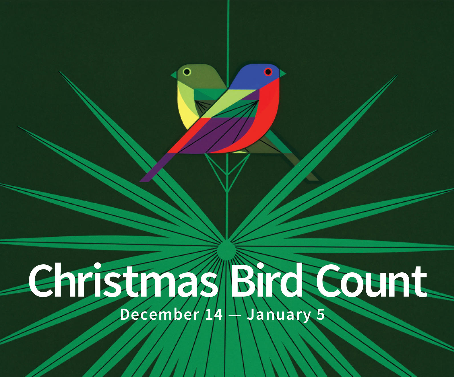 Graphic of painted buntings and a palm frond promoting Christmas Bird Count