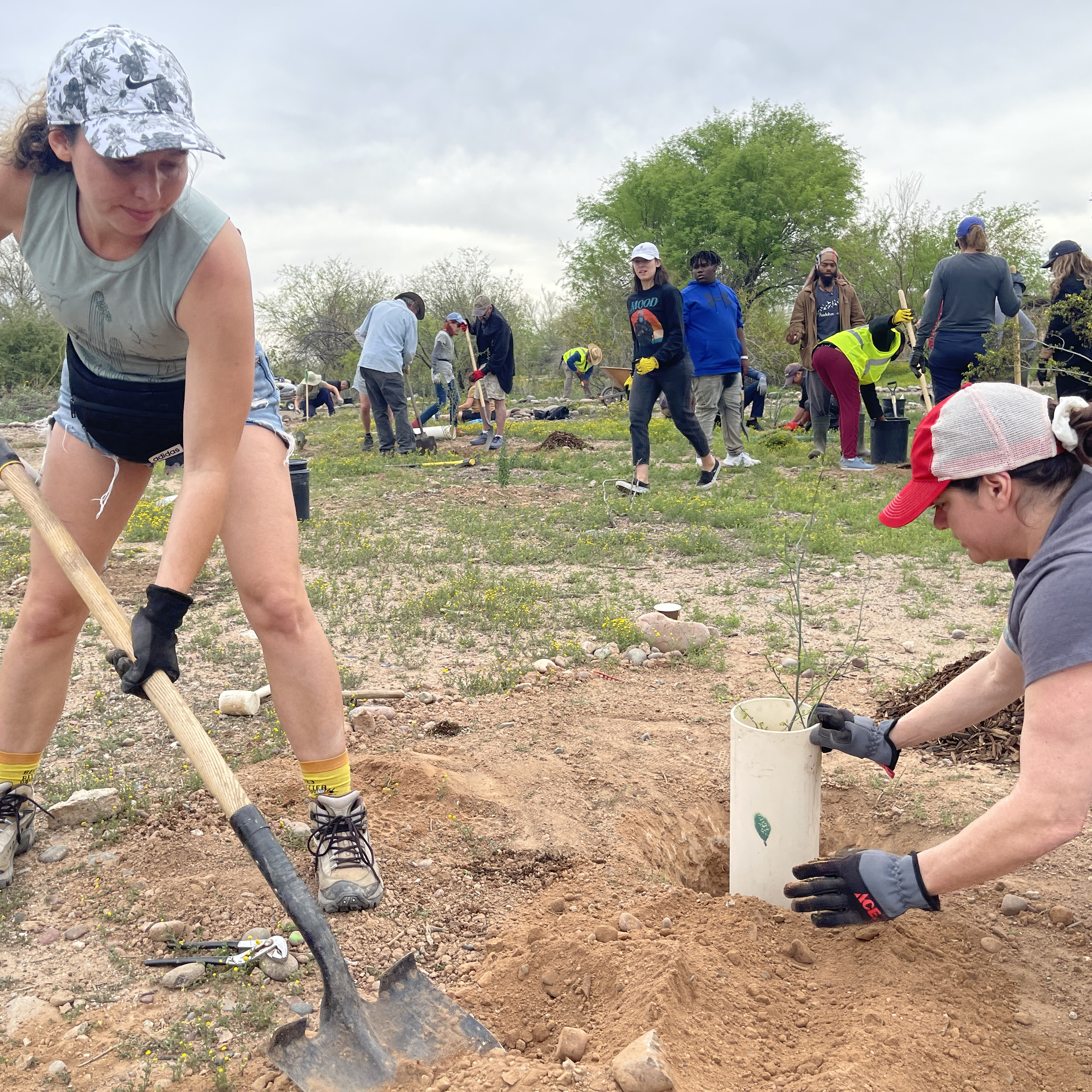 Pollinator Day Volunteers