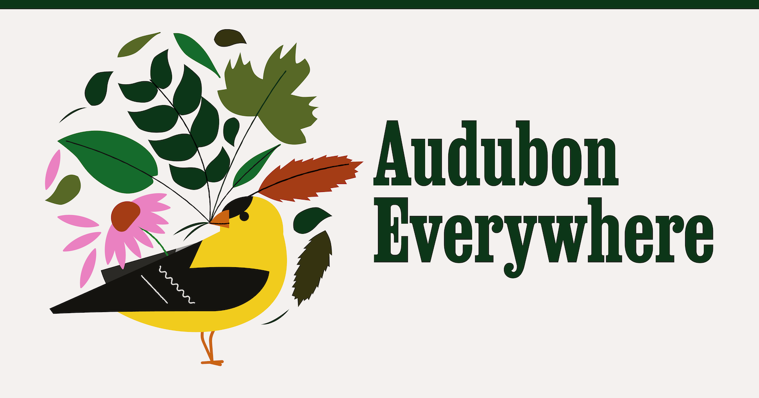 Audubon Everywhere