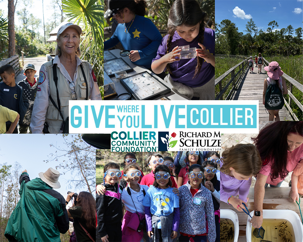 Give Where You Live Collier promo collage