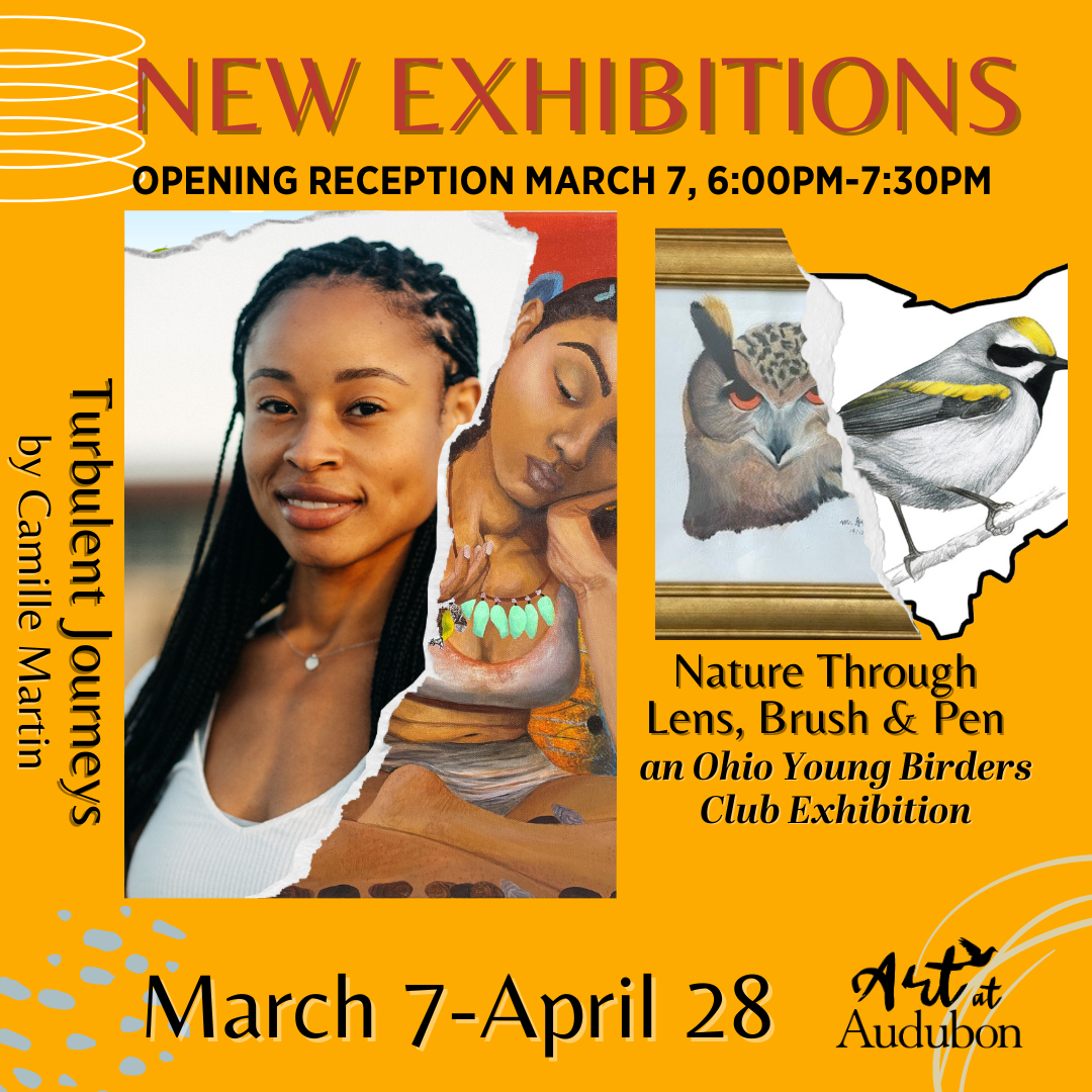 March 7-April 28 Exhibition Images