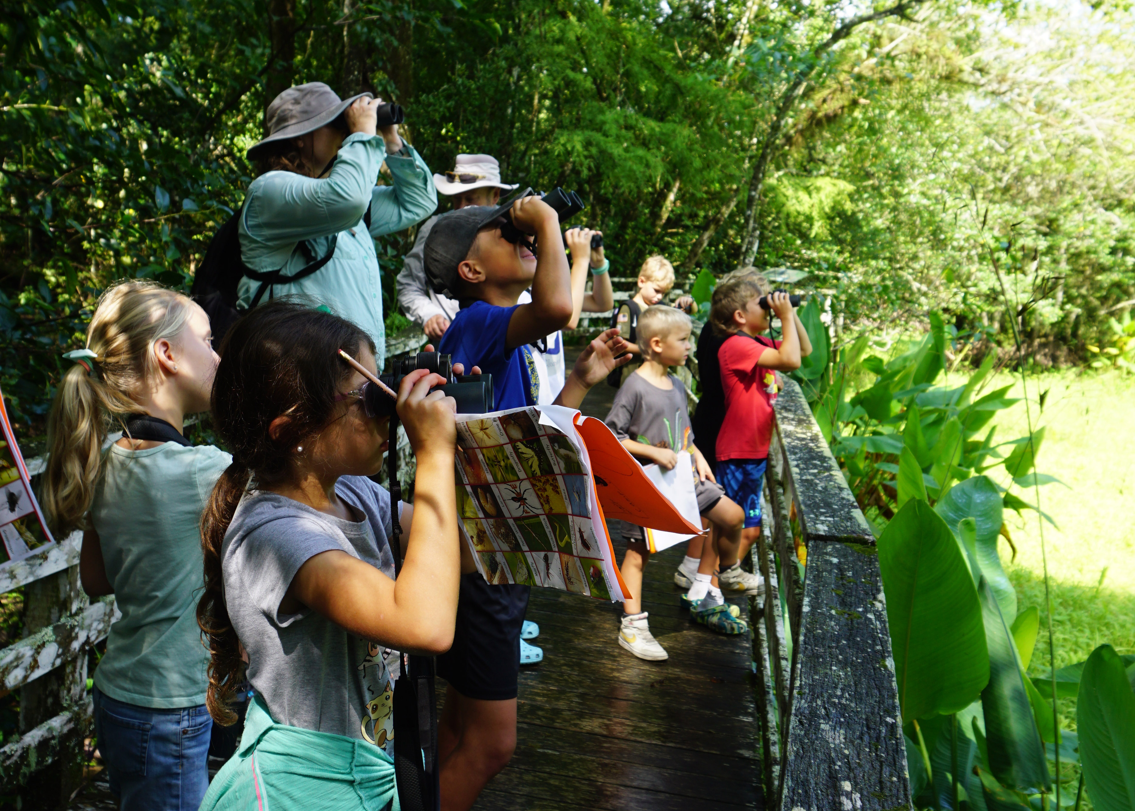 Students with binoculars looking at a swamp.