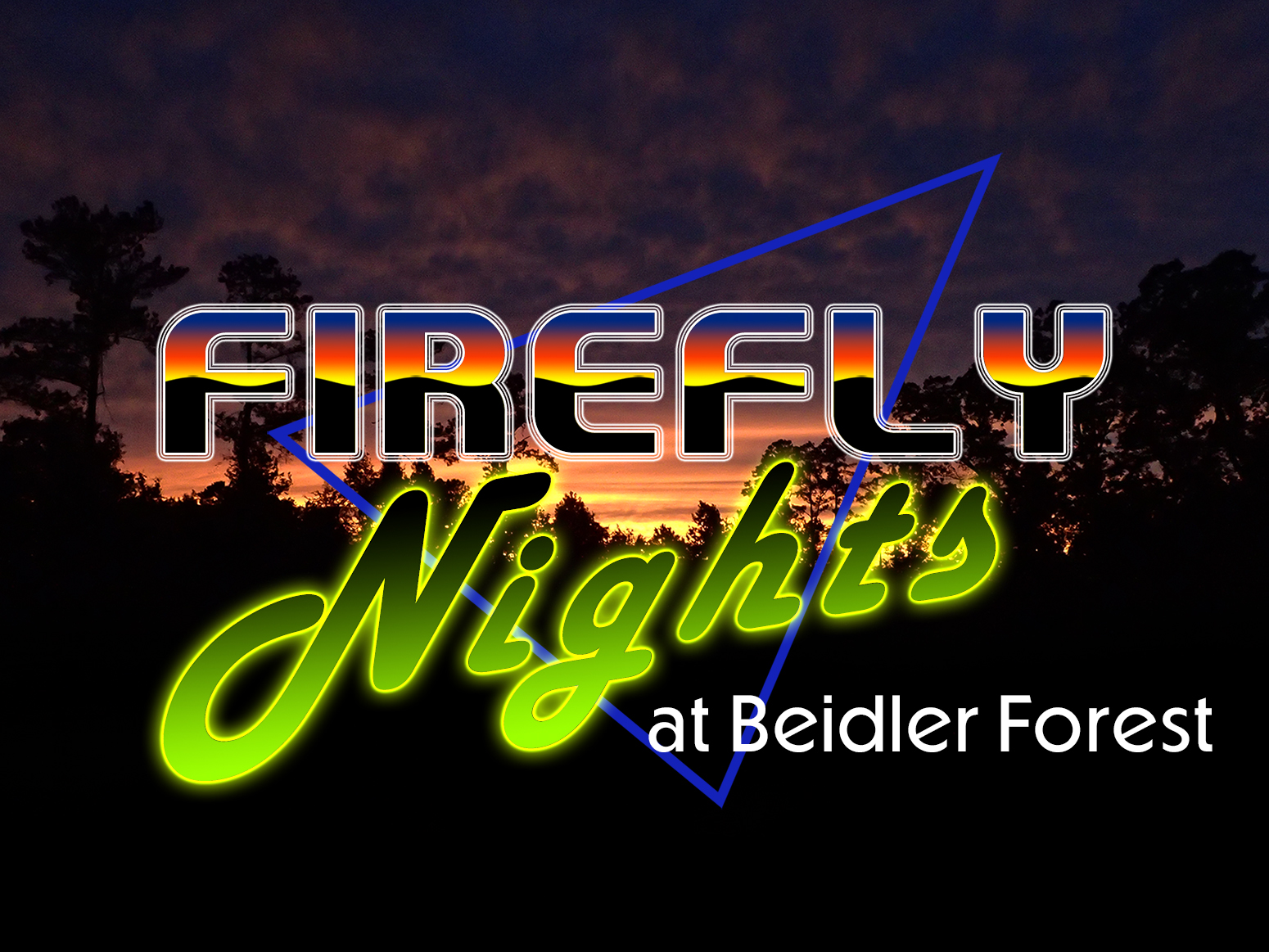 Firefly Nights at Beidler Forest. 