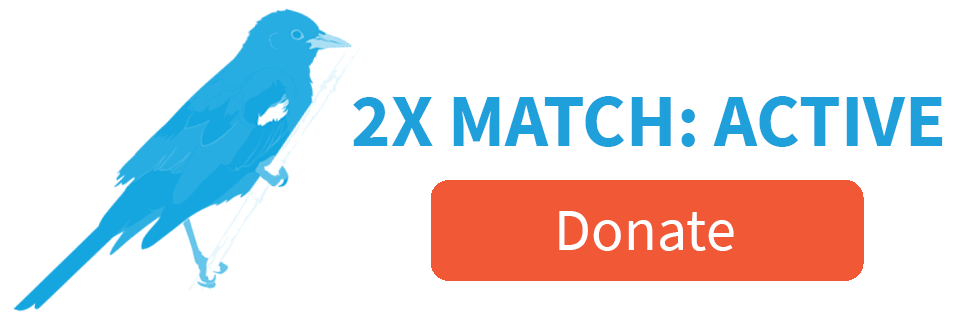 2X Match: Active [Donate]