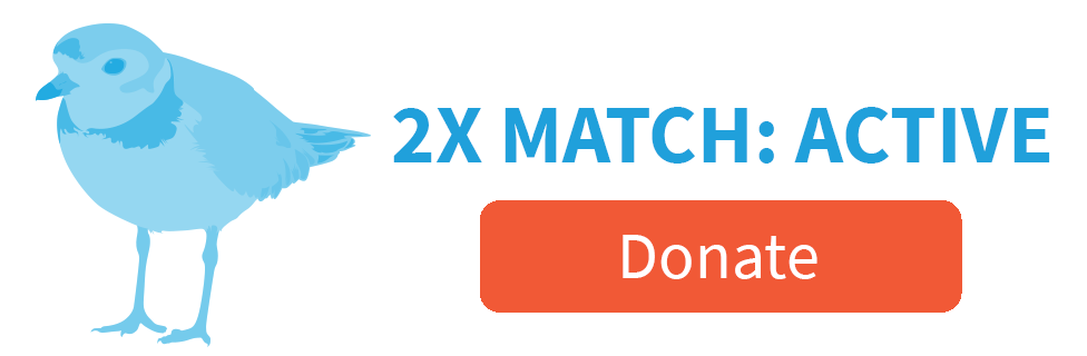 2X MATCH CHALLENGE: ACTIVE