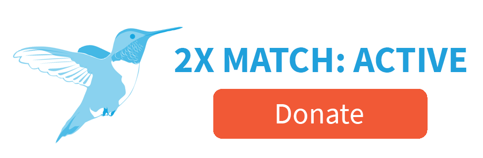 2X MATCH: ACTIVE [Donate]