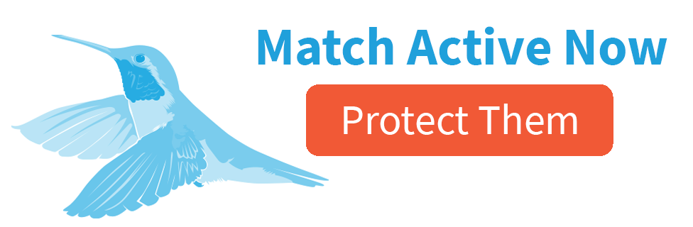 Match active now; [protect them] illustration of hummingbird