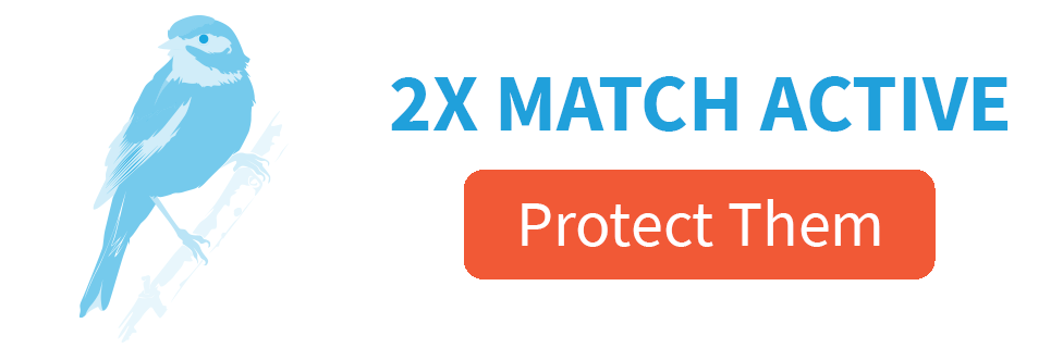 2X Match Active [protect them]; Golden-winged Warbler illustration