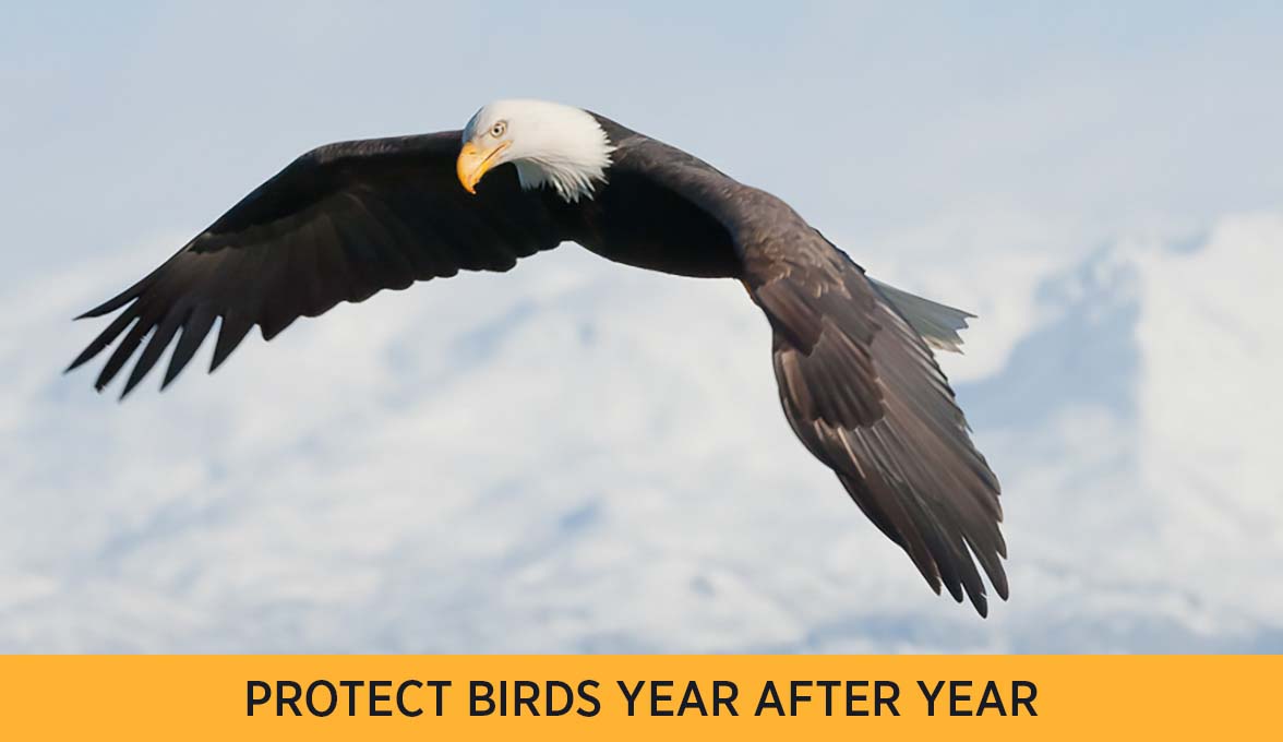 PROTECT BIRDS YEAR AFTER YEAR