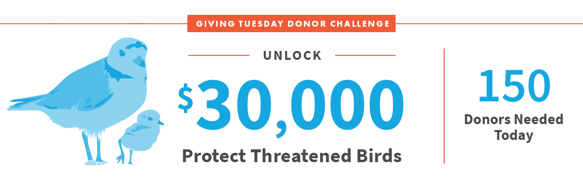 Unlock $30,000; Protect Threatened Birds; 150 Donors Needed