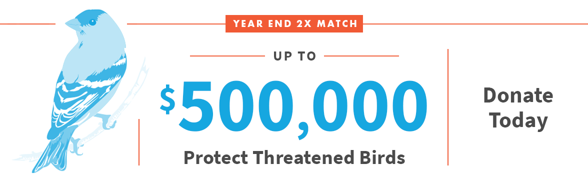 Year End 2X match up to $500,000; Donate Today; Bird Illustration;