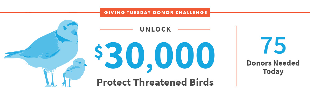 Unlock $30,000; Protect Threatened Birds; 75 Donors Needed