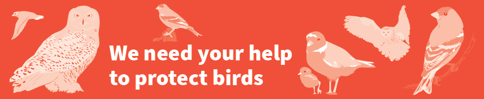 We need your help to protect birds