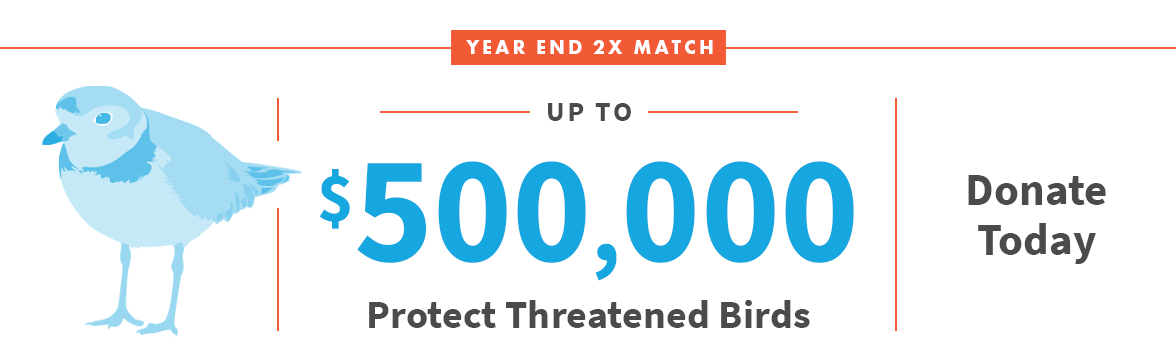 Year End 2X match up to $500,000; Donate Today; Bird Illustration;