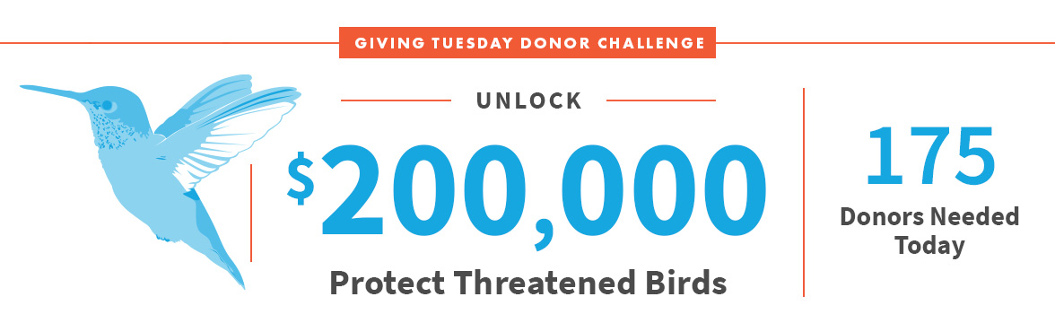 Unlock $200,000; Protect Threatened Birds; 175 Donors Needed