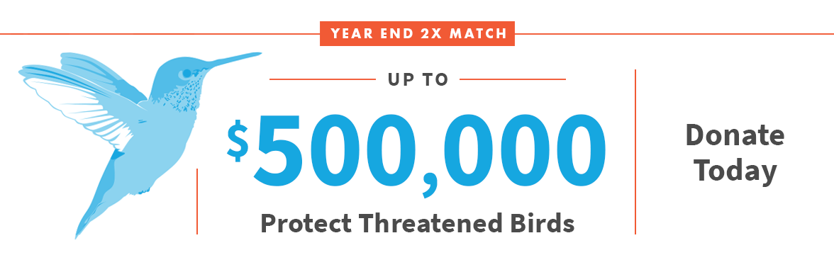 Year End 2X match up to $500,000; Donate Today; Bird Illustration;