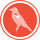 Bird Icon.