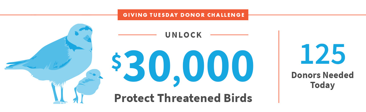 Unlock $30,000; Protect Threatened Birds; 125 Donors Needed