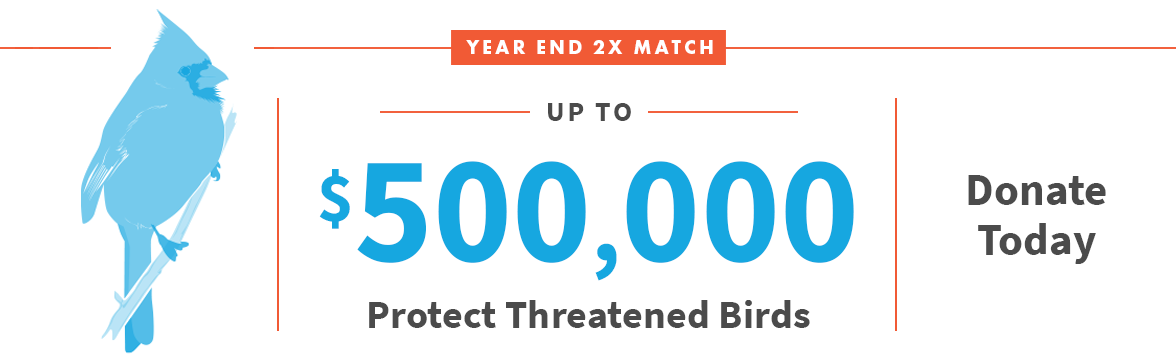 Year End 2X match up to $500,000; Donate Today; Bird Illustration;