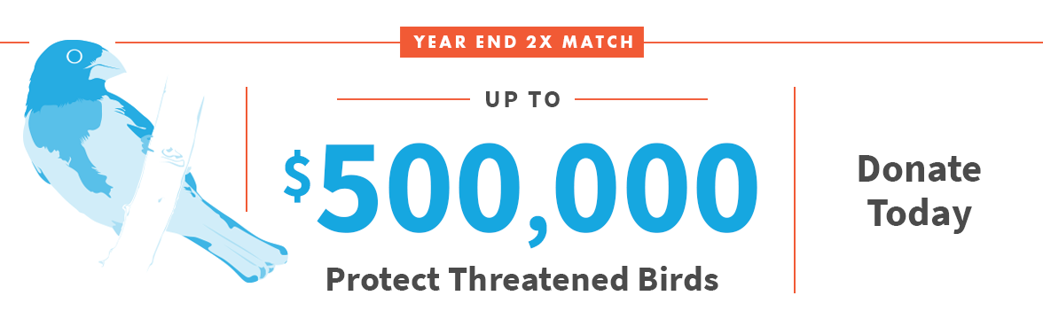 Year End 2X match up to $500,000; Donate Today; Bird Illustration;