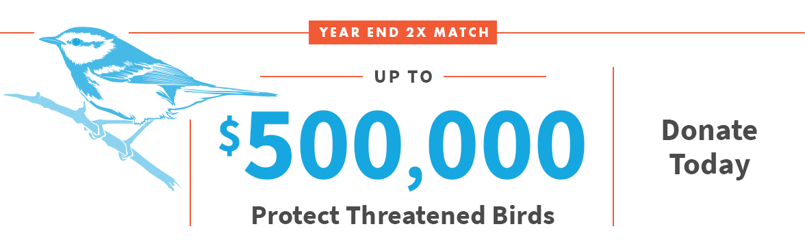 Year End 2X match up to $500,000; Donate Today; Bird Illustration;