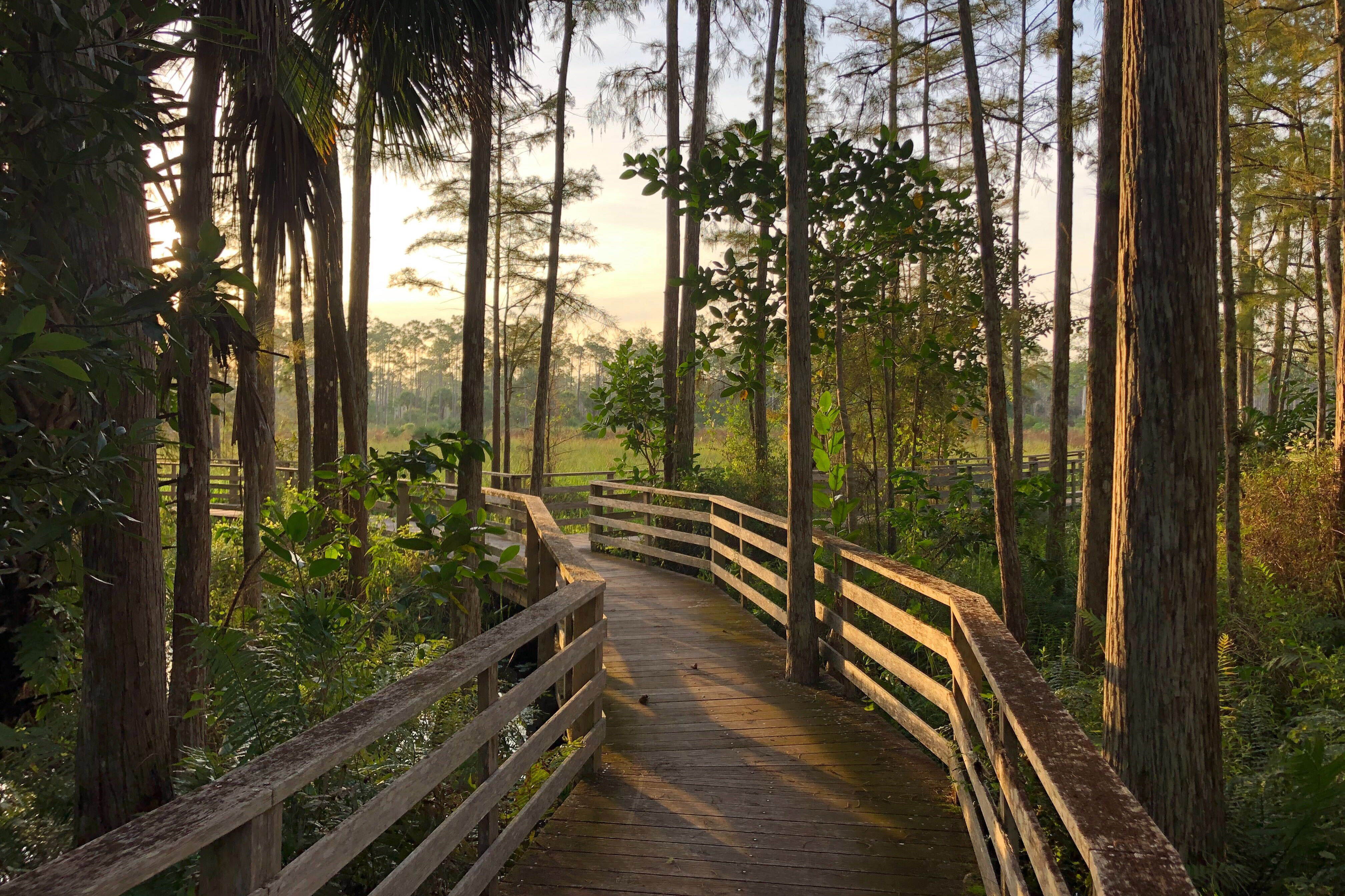 Photo of sunrise on the boardwalk.