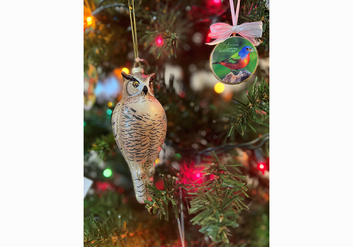 Holiday ornament on a tree.