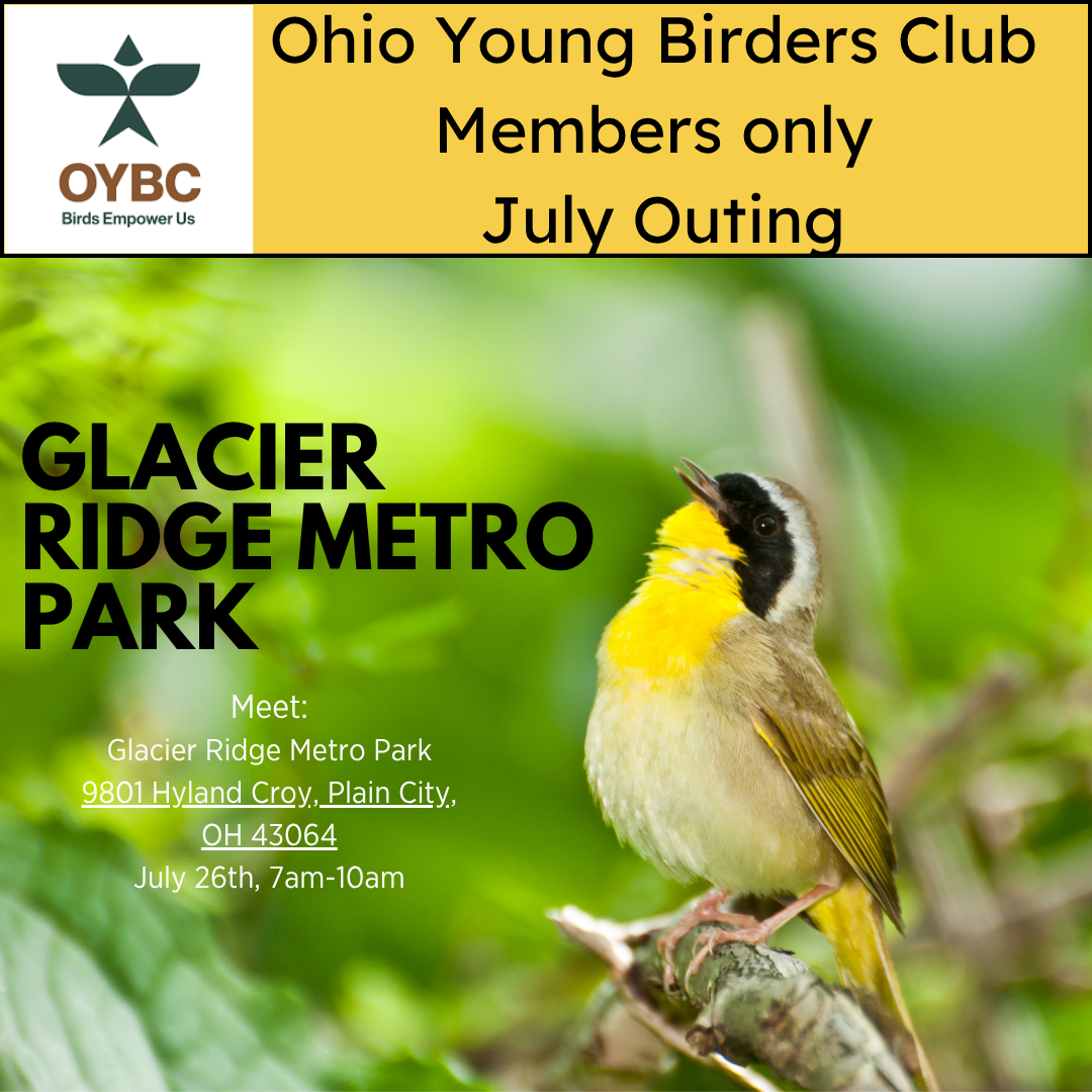 Ohio Young Birders Club