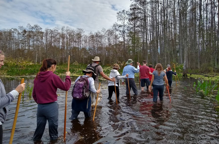 People walking through water