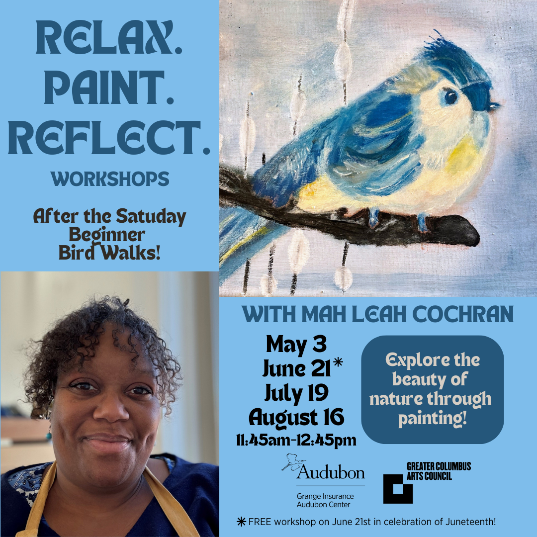 Painting Workshops
