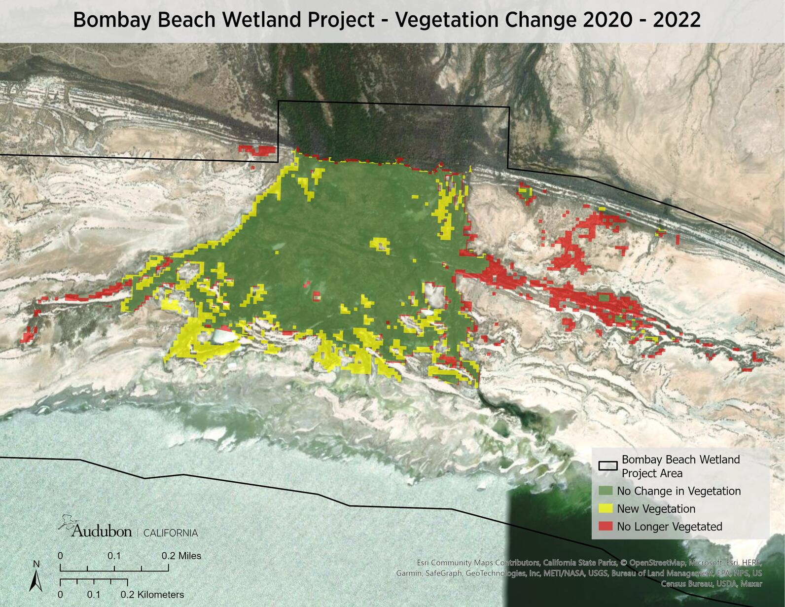 Bombay Beach Wetland Project - Vegetation Change 2020 - 2022