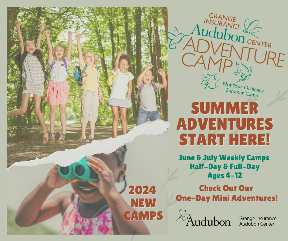 Adventure Camp image