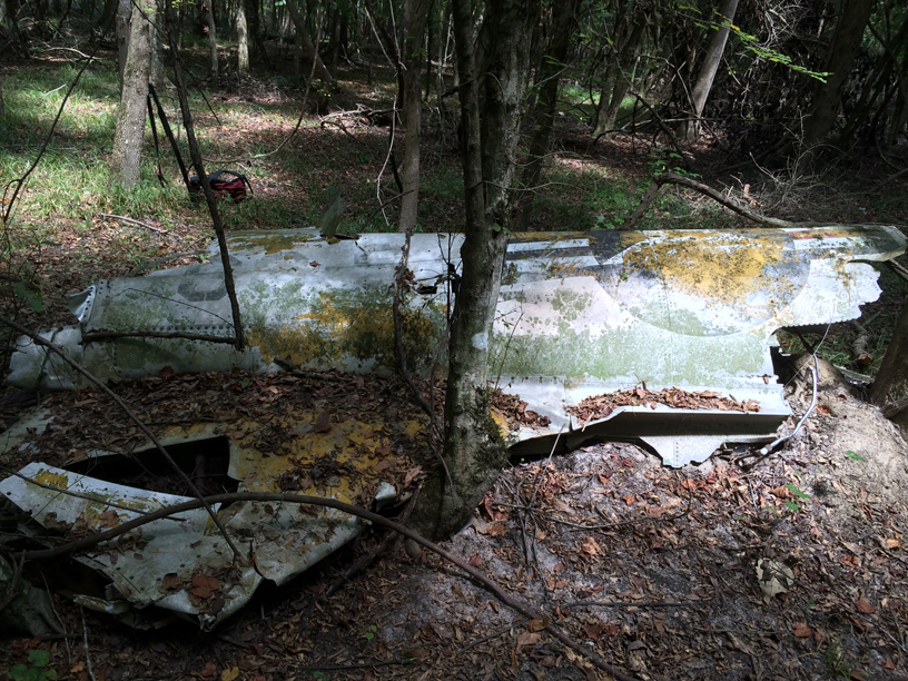 Debris from a plane on a leafy ground with several shadows. 