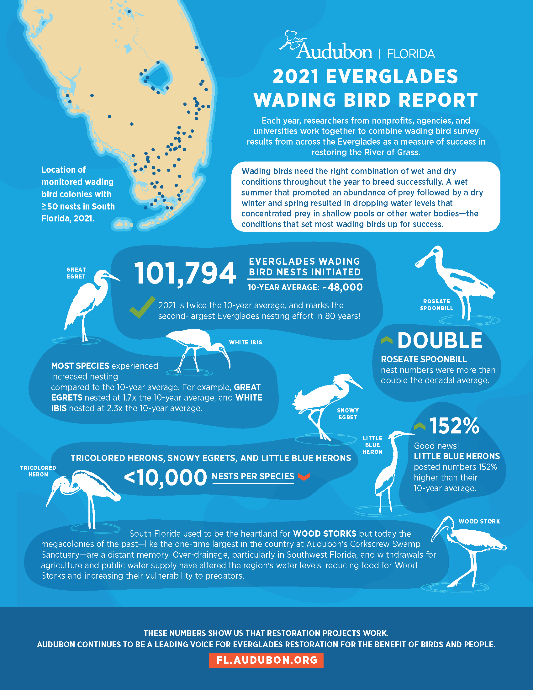 An infographic describing the results of the wading bird report.