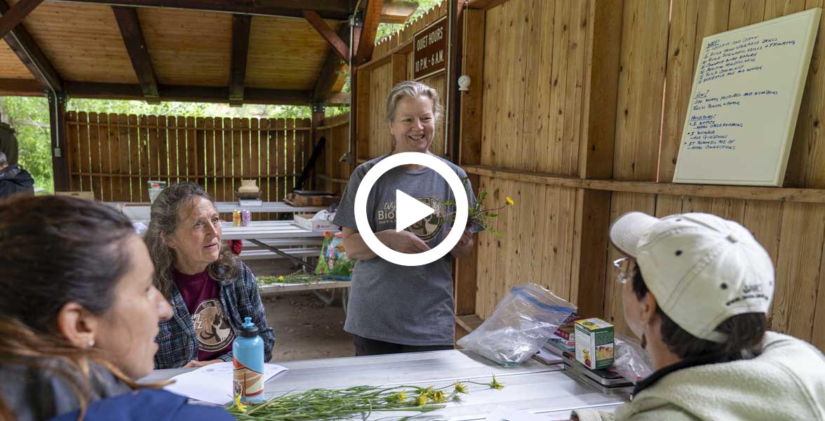 A woman instructs a group of adults sitting at a picnic table with various plants on it. A play button is on the image.