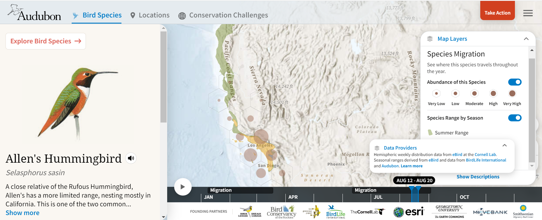 Bird Migration Explorer.