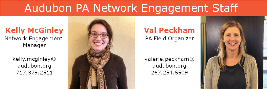 PA Network Engagement Staff