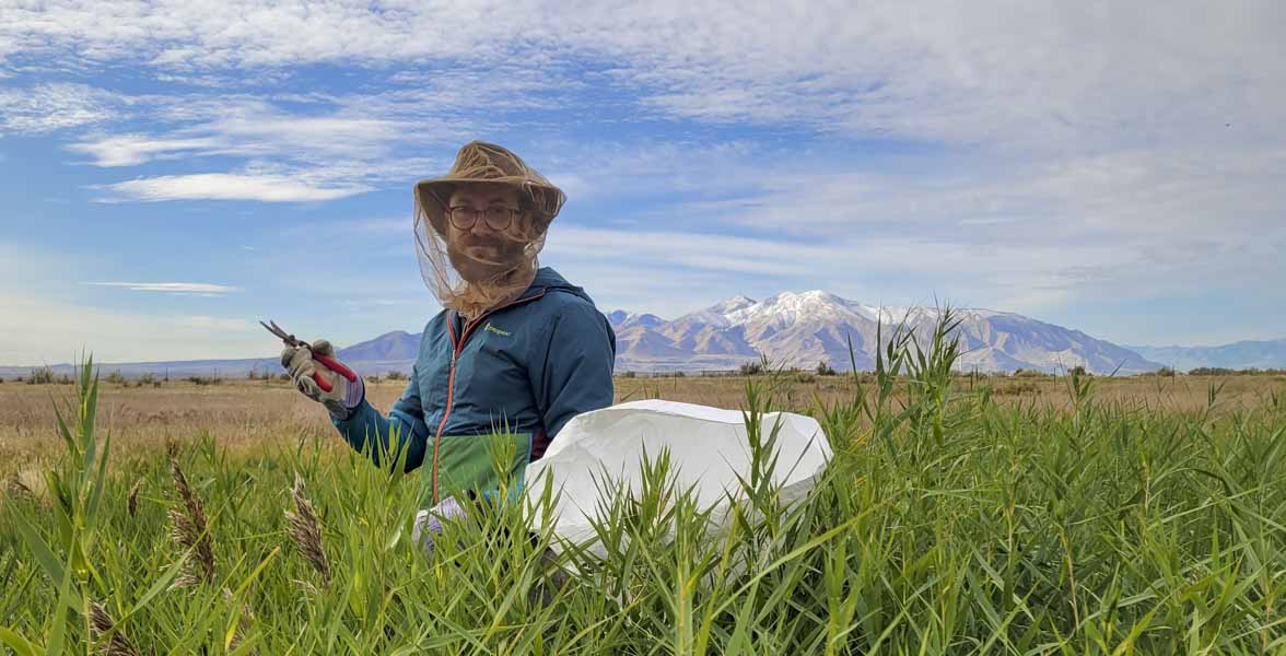 A man stands in wait-high vegetations with gardening sheers. He is wearing a bug net hat.